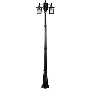 Wadrbsw Lamp Post Lights Outdoor, Outdoor Lamp Post Light Anti-Rust Aluminum Street Lights Waterproof High Pole Lamp Double Head Lawn Lamp Garden Villa Pillar Lamp Community Landscape Column Lights To pursue