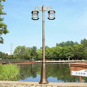 Wadrbsw Lamp Post Lights Outdoor, Traditional Outdoor Lamp Post Light Cast Aluminum Double Heads Landscape High Pole Light Vintage Street Lamp with Clear Glass Garden Yard Driveway Pillar Light To pursue