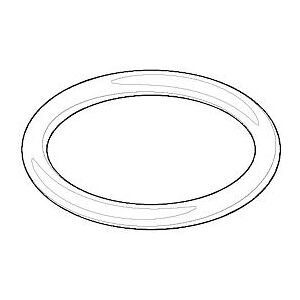 Dornbracht O-Ring 21,89 x 2,62 NBR70 09141019790 100x60x2