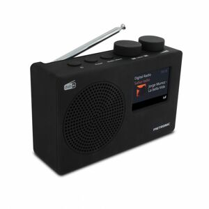 Radio numérique dab+ et fm rds avec écran couleur - noir - Noir