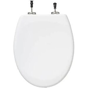 Abattant WC lunette de toilette Celesto, En forme de O, Fermeture douce, amovible, antibactérien, en Duroplast et inox