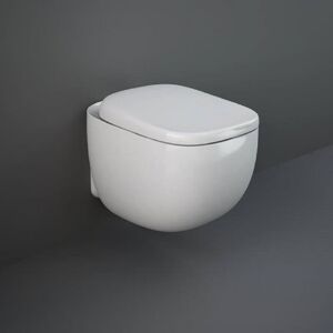 Bidet et cuvette WC à poser moderne avec abattant à fermeture douce – Sans  bride – Blanc mat – RAK Feeling x Hudson Reed