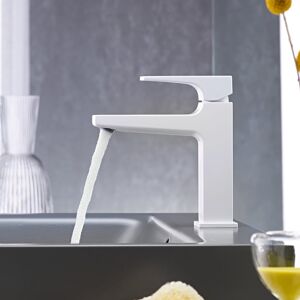 Hansgrohe 4059625212462 110 - Publicité