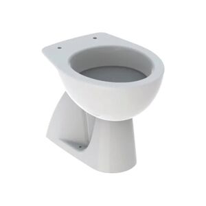 Geberit COLIBRÌ VASO WC A PAVIMENTO A CACCIATA CON SCARICO VERTICALE BIANCO 500.856.00.1