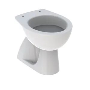 Geberit Colibrì Wc Scarico Pavimento 36x53 Bianco Lucido Codice Prod: 500.856.00.1