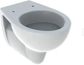 Geberit Colibrì Wc Sospeso 36x52 Bianco Lucido Codice Prod: 500.890.00.1