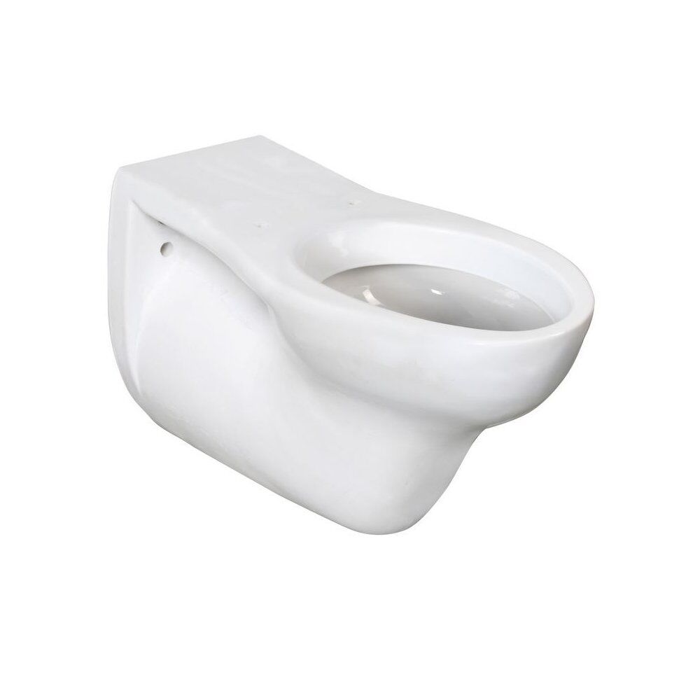 IDRAL Vaso sospeso per disabili in ceramica bianca serie EASY 10276 Bianco Ceramica