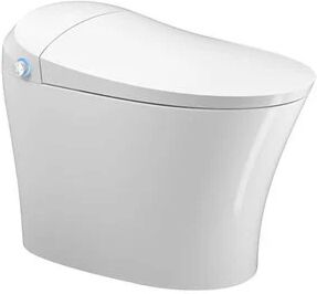 Castello USA Inc New York Simple Model Plastic Smart Toilet in White