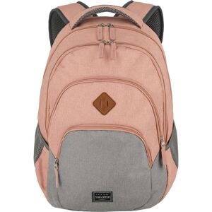 travelite Laptoprucksack »Basics Melange, rosa/grau«, Arbeitsrucksack... Rosa-Grau Größe B/H/T: 31 cm x 45 cm x 16 cm