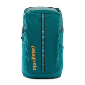 Patagonia Black Hole Pack 25L