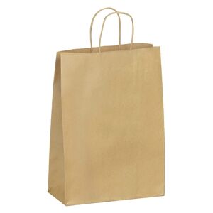 Sac kraft brun poignées torsadées qualité 100 g/m² - 50 sacs 41