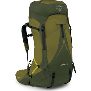 Osprey Men's Atmos AG LT 50 Scenic Valley/Green Peppercorn S/M, Scenic Valley/Green Peppercorn