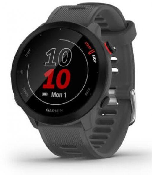 Garmin Forerunner 55 - Running GPS-Uhr - Grau