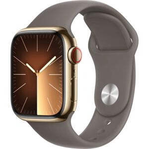 Smartwatch APPLE 