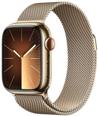 Apple Watch Series 9 GPS + Cellular Cassa 41mm in Acciaio inossidabile