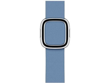 Apple Bracelete Watch 40mm Cornflower Modern Buckle Small