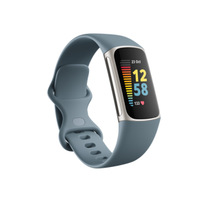 Fitbit Charge 5 Steel Blue / Platina