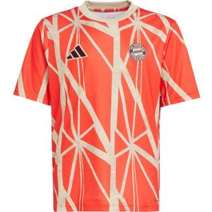 Adidas FC Bayern München Prematch Funktionsshirt Kinder rot 164