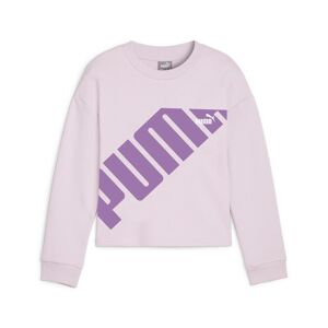 Puma Kapuzensweatshirt »POWER CREW TR G« Grape Mist  152