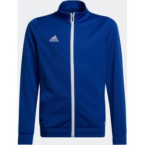 Adidas Performance Trainingsjacke »ENT22 TK JKTY« Royal Blue  164