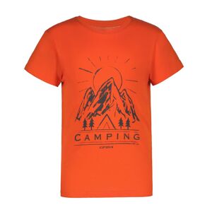 Icepeak T-Shirt »K SHIRT LEADVILLE« ORANGE  128