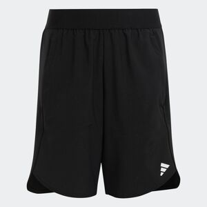 Adidas Sportswear Shorts »AEROREADY«, (1 tlg.) Black / Silver Metallic / Grey Three  140