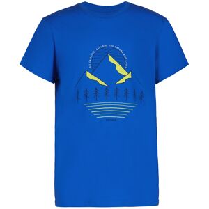 Icepeak T-Shirt »K SHIRT LEADVILLE« ROYAL BLUE  164