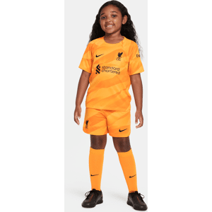 Liverpool FC 2023/24 GoalkeeperDreiteiliges Nike Dri-FIT-Set für jüngere Kinder - Gelb - S