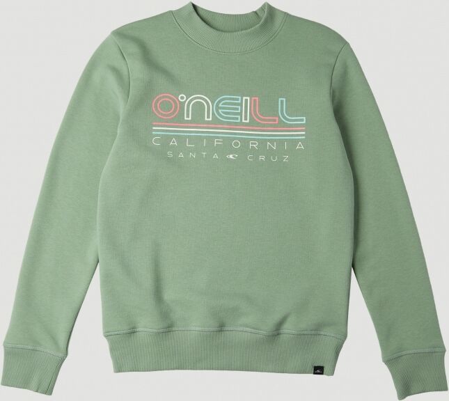 O'Neill Sweatshirt »All Year Crew Sweatshirt« bunt  104 116 128 140 152 164 176