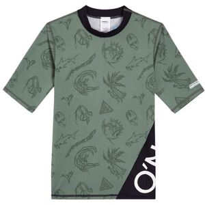 O''Neill ONeill Boys Mix and Match Crazy Skin S/Slv Colorblock / Grün / Schwarz, Jungen Kurzarm-Shirts, Größe 14 - Farbe Green Vintage Surfer