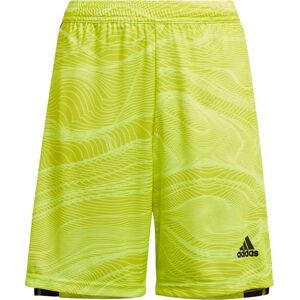 Adidas Condivo 21 Primeblue Torwartshorts Jungen gelb 152 gelb male