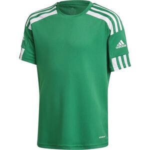 Adidas Squadra 21 Trikot Jungen grün 164 grün male