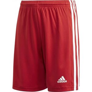 Adidas Squadra 21 Shorts Jungen rot 128 rot male