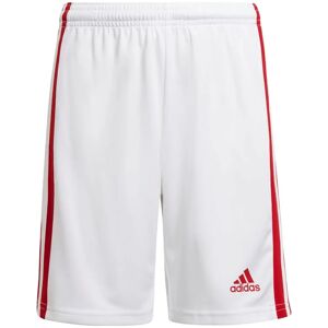 Adidas Squadra 21 Shorts Jungen weiß 164 weiß male