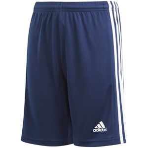 Adidas Squadra 21 Shorts Jungen blau 140 blau male