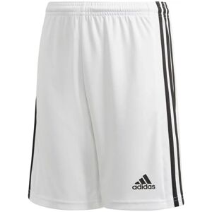 Adidas Squadra 21 Shorts Jungen weiß 128 weiß male