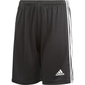 Adidas Squadra 21 Shorts Jungen schwarz 128 schwarz male