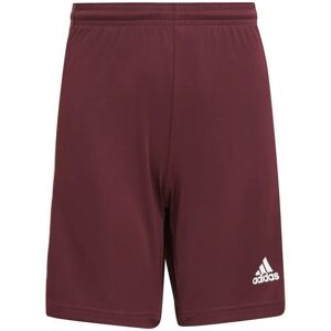 Adidas Squadra 21 Shorts Jungen rot 176 rot male