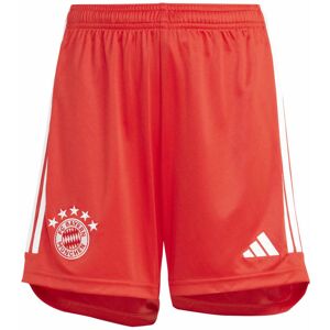 Adidas FC Bayern 23/24 Home Y - Fußballhose - Kinder