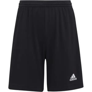 ADIDAS Kinder Teamhose Entrada 22 - unisex - Schwarz - 164