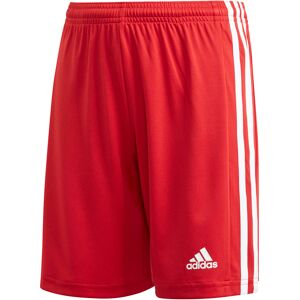 Kindershorts adidas Squadra 21 - Rouge