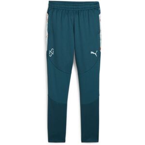 Jogginganzug Kind Puma Neymar JR Creativity - Vert