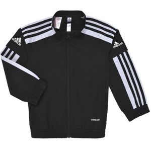 Adidas  Trainingsjacken Sq21 Pre Jkt Y 11 / 12 Jahre;13 / 14 Jahre;5 / 6 Jahre;7 / 8 Jahre;9 / 10 Jahre;15 / 16 Jahre Female