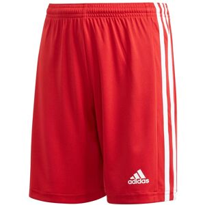 Adidas Squadra 21 Short Kids Rot Weiss - 152