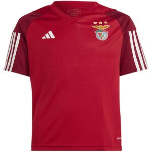 Performance Fußballtrikot - SLB C JSY Y - Tepore - adidas Performance - 16 Jahre (176) - Fußballtrikots