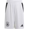 Adidas Deutschland Home Y - Fußballhose - Kinder