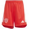 Adidas FC Bayern 23/24 Home Y - Fußballhose - Kinder