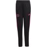 Adidas Pogba Trainingshose Kids Schwarz Pink - 176