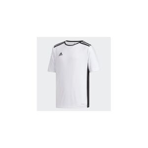 Adidas ENTRADA JERSEY, T-shirt, Voksen, Hanstik, Hvid, 140 cm, Monokromatisk