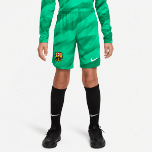 FC Barcelona 2023/24 Stadium Goalkeeper Nike Dri-FIT-fodboldshorts til større børn - grøn grøn XL